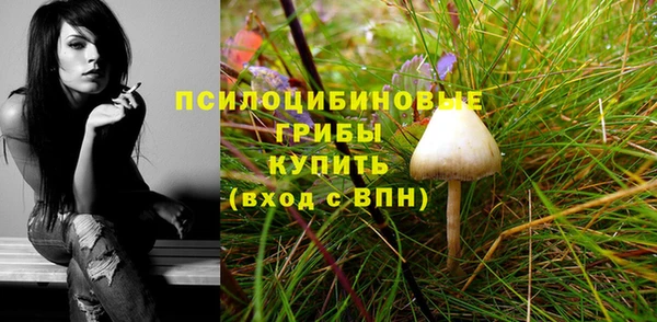 молекула духа Инта