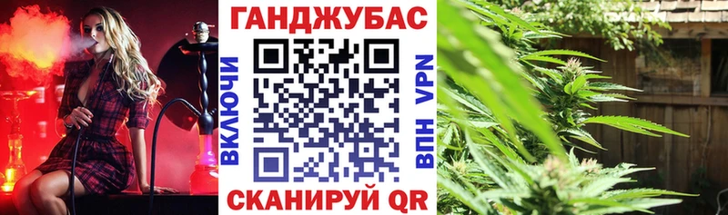 Купить  Стрежевой  Каннабис сатива 